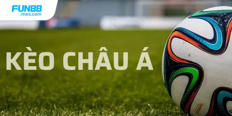 Những tỷ lệ phổ biến nhất